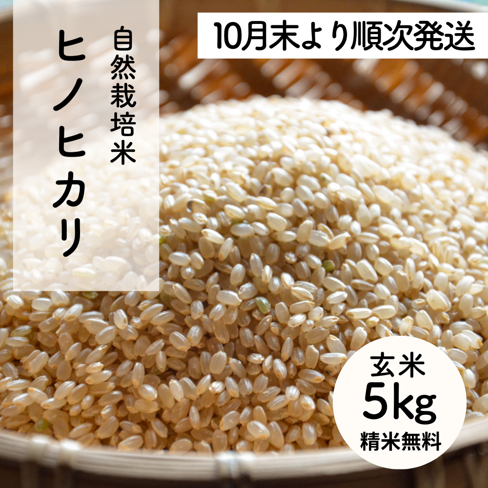 【新米】たけた自然農園のおいしいお米（玄米）令和7年度産ヒノヒカリ5kg
