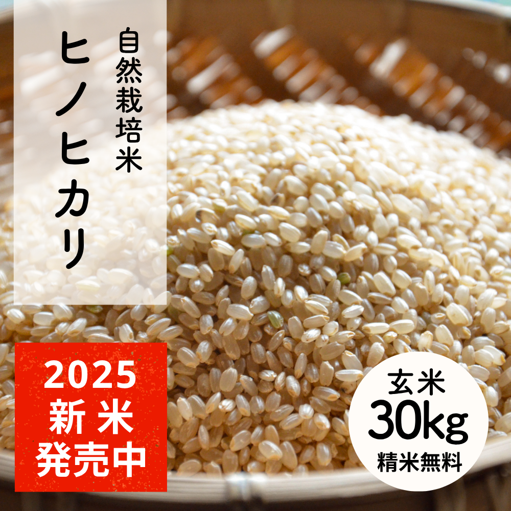 2025年度 新米ヒノヒカリ玄米30キロ① 新米 米 30kg 玄米 ヒノヒカリ